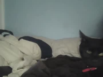 fantasyislandxxx sur Chaturbate