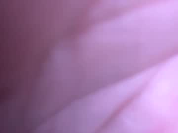 fer3455 auf Chaturbate
