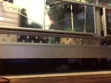 thickmadame28 en Chaturbate: captura de transmisión 5